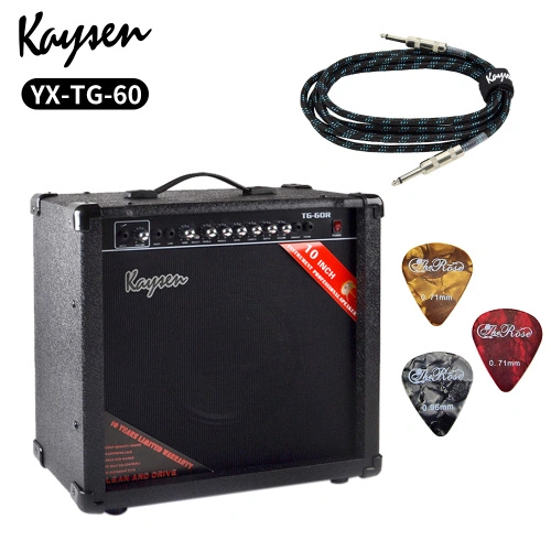 Kaysen 60W Guitar Audio Speaker China Manufacturers Suppliers
